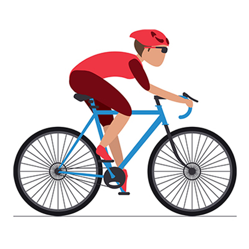 Home 2 BikeFit racefiets