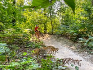 Beginnen met mountainbiken: avontuur en uitdaging